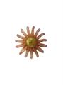 dolman bijoux ARABESCA spilla resina/cristalli coll.26/27